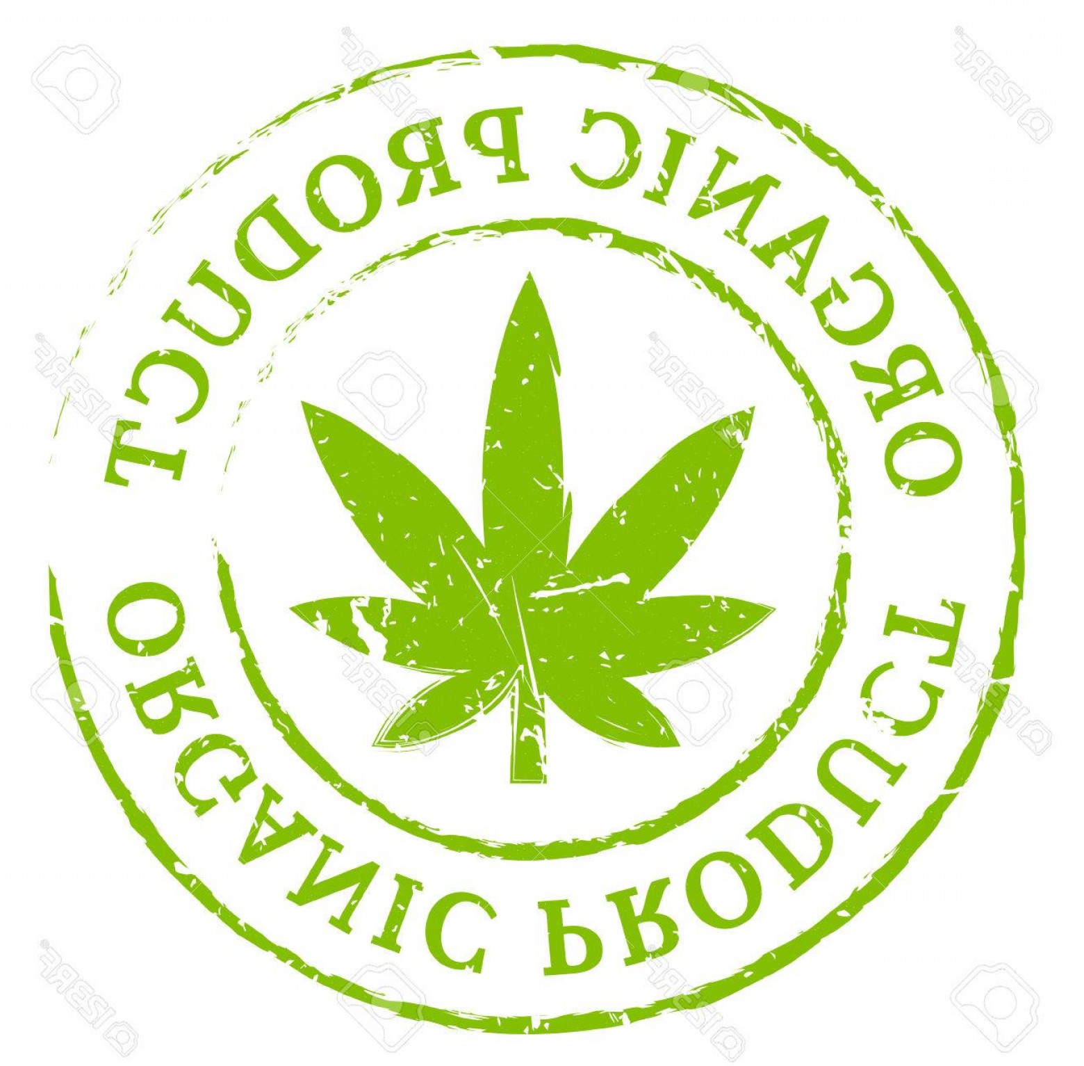 1560x1533 Marihuanna Organic Vector Clip Art Savoyuptown