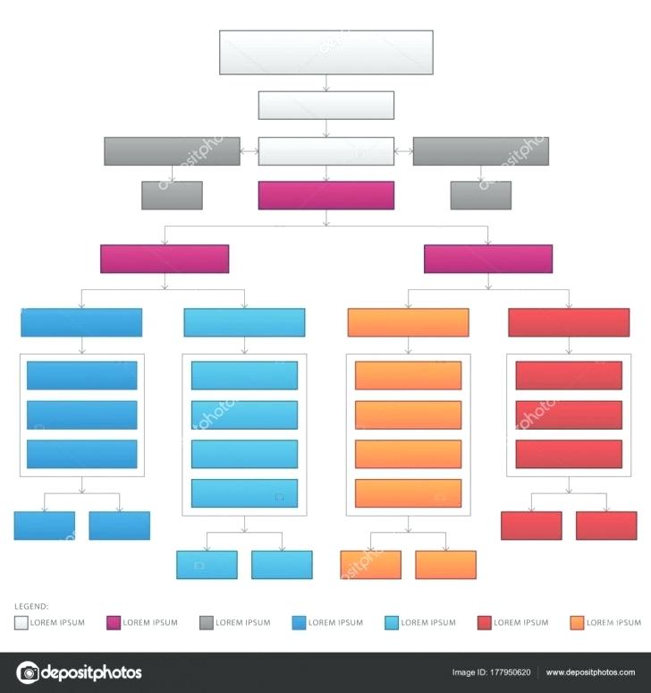Horizontal Organizational Corporate Flow Chart Vector Image Medium 728x774 Horizontal Organizational Corporate Flow Chart Vector Image Medium