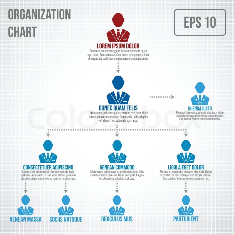 Organizational Chart Infographic Stock Vector Colourbox 800x800 Organizational Chart Infographic Stock Vector Colourbox