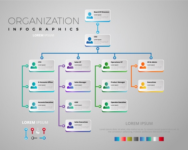 Elegant Organization Chart Vector Premium Download 626x500 Elegant Organization Chart Vector Premium Download