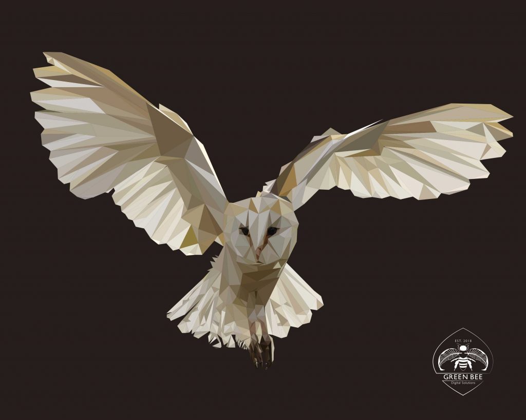 1024x819 Owl Vector Illustration