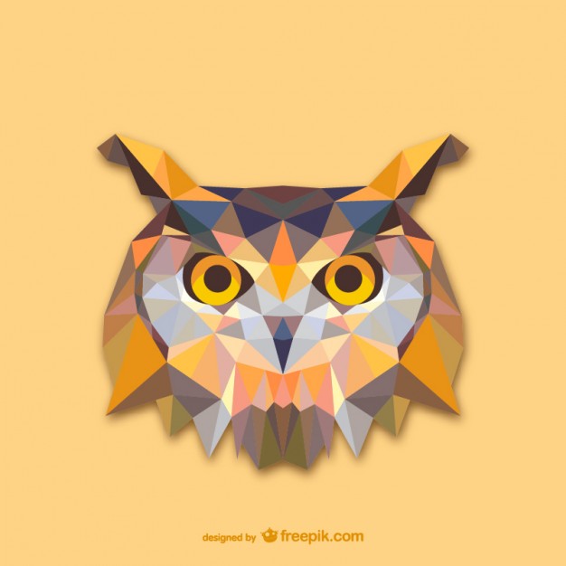 626x626 Owl Vectors, Photos And Free Download
