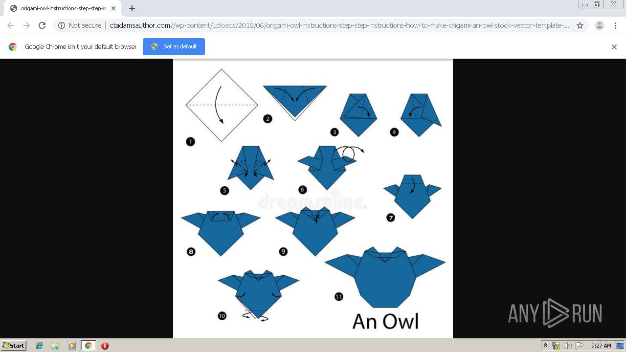 1280x720 Owl