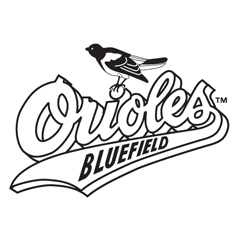240x240 Bluefield Orioles Vector Logo Download