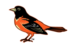 246x156 Baseball Logos Baltimore Orioles Baseball
