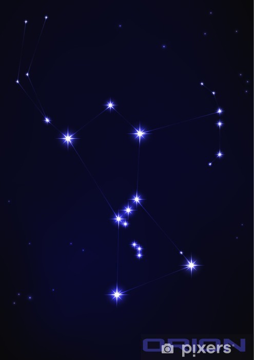 495x700 Vector Illustration Of Orion Star Constellation Wall Mural