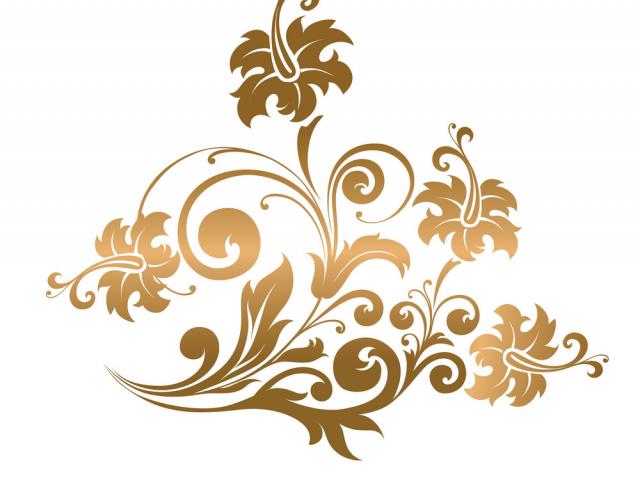 640x480 Ornament Vector Png