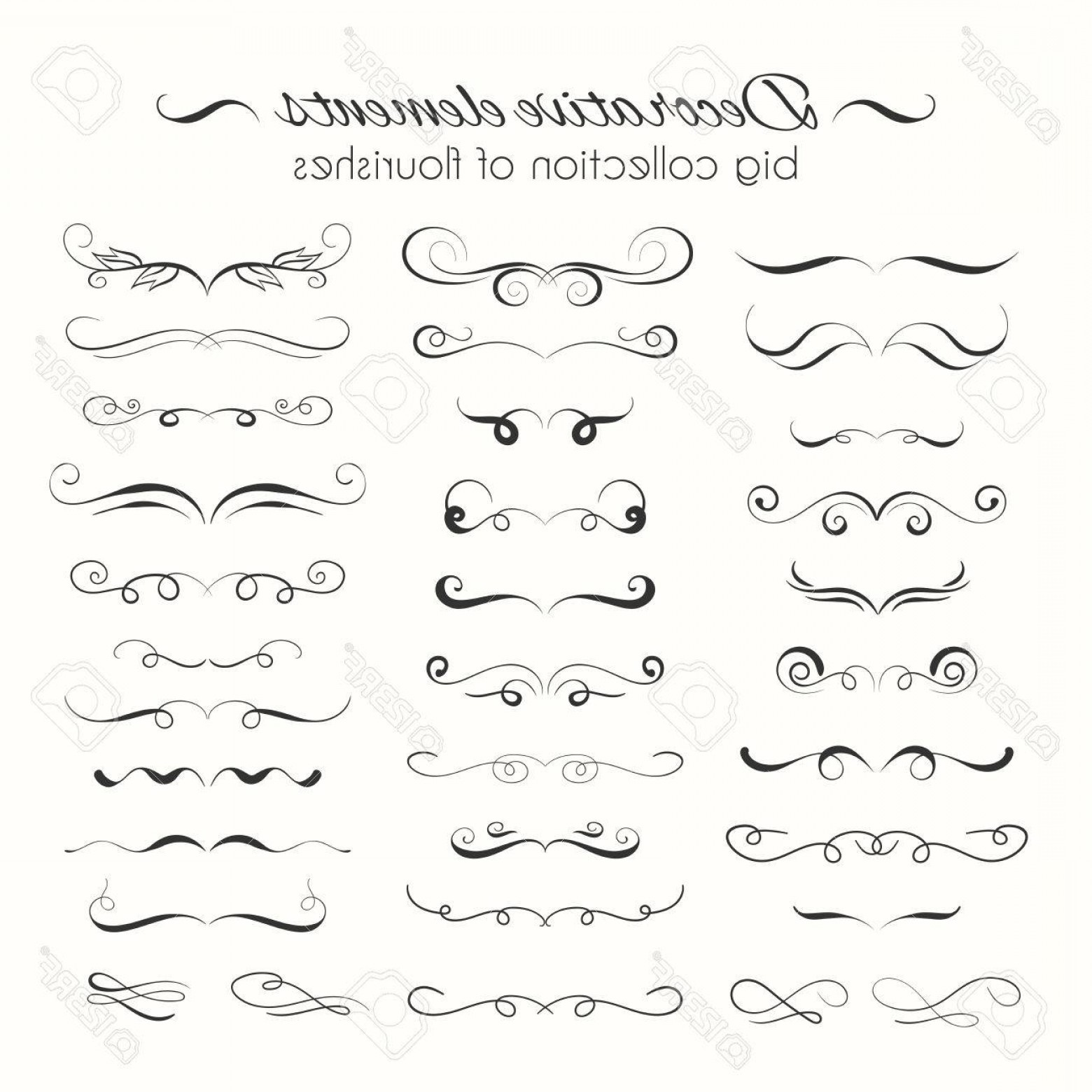 Vector Dividers And Flourishes Catamart 1560x1560 Vector Dividers And Flourishes Catamart