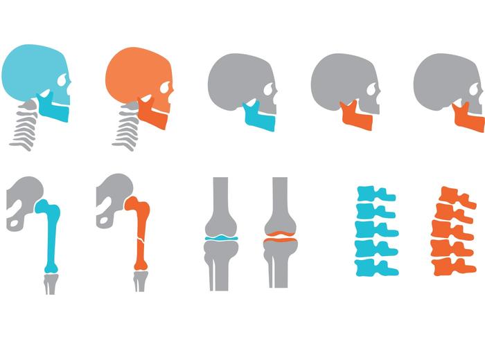 700x490 Orthopedic Bones And Joints Vectors