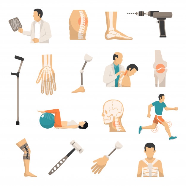 626x626 Orthopedic Vectors, Photos And Free Download