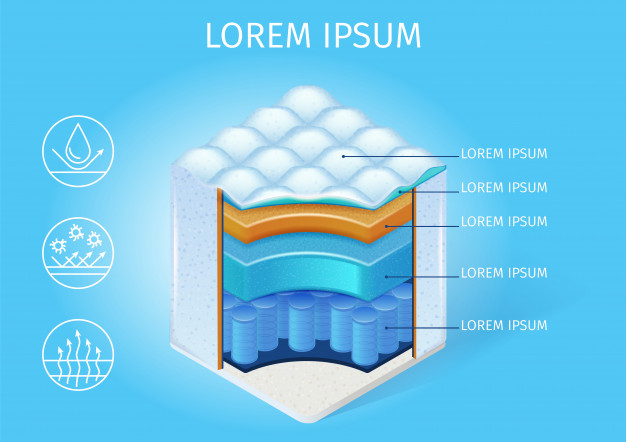 626x442 Orthopedic Mattress Structure Vector Scheme Vector Premium Download