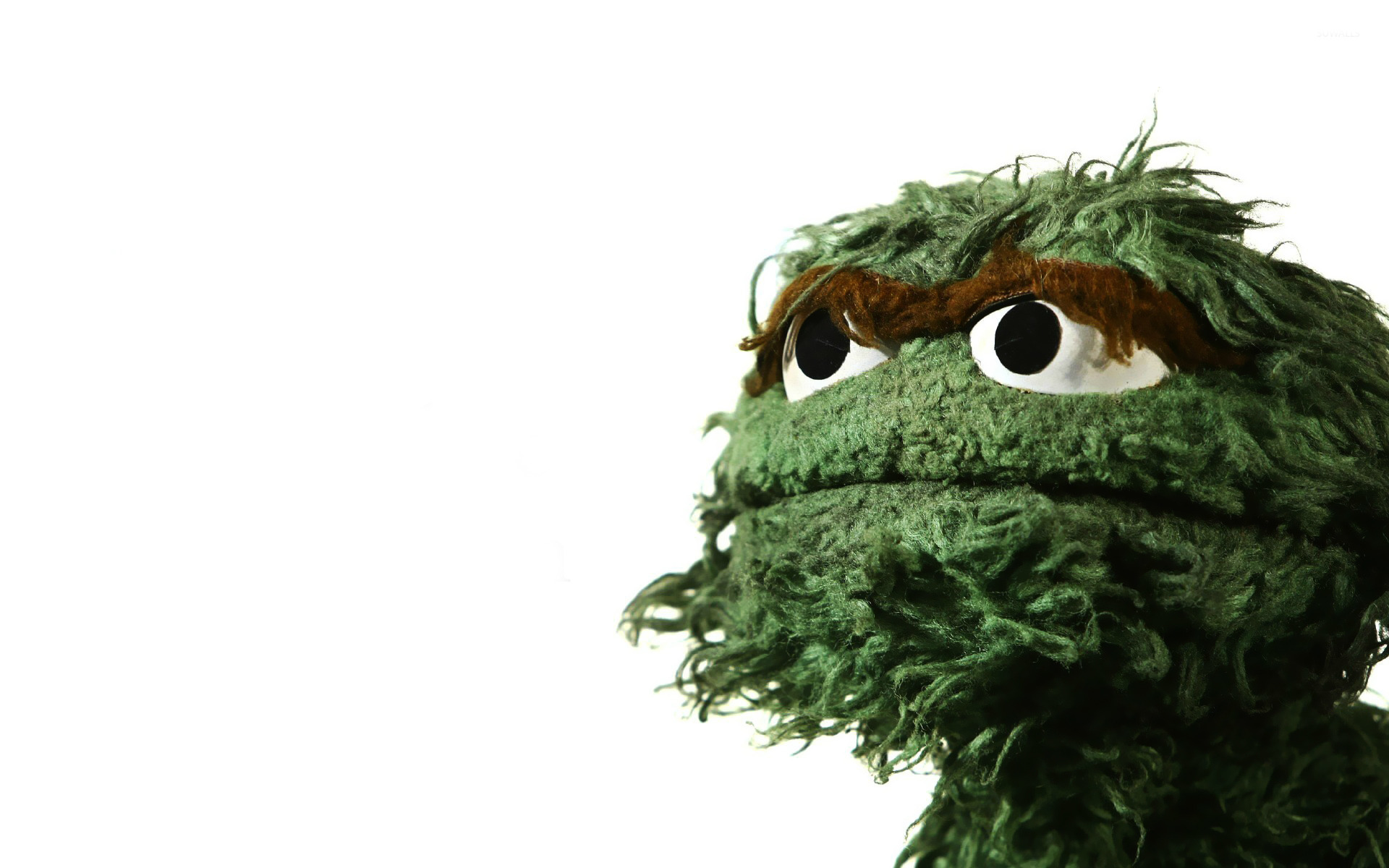 1920x1200 Oscar The Grouch Wallpaper