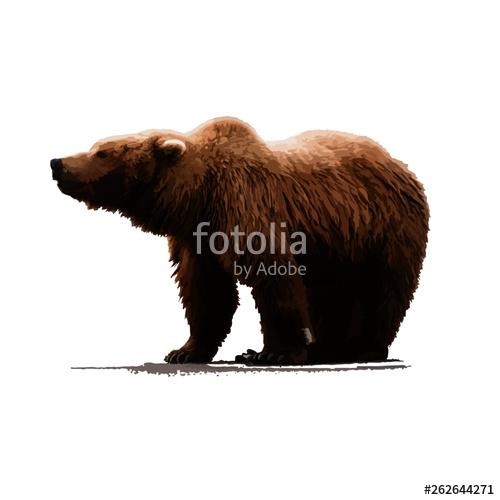 500x500 Oso Stock Image And Royalty Free Vector