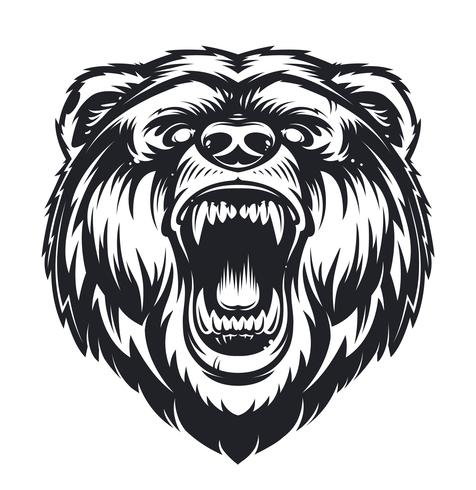 476x490 Oso Rugiente Del Vector