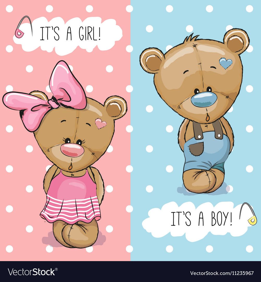 1000x1080 Teddy Bears Boy And Girl Royalty Free Vector Image My Phone