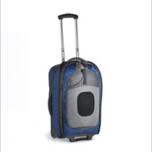 300x300 Osprey Vector