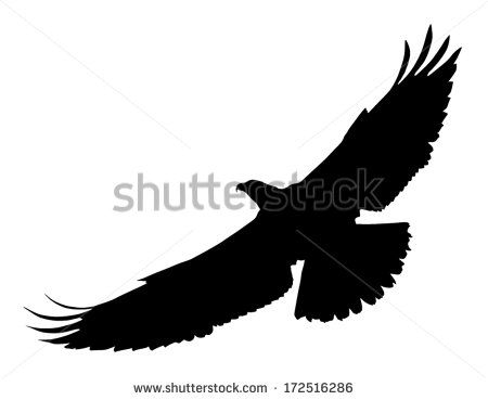 450x369 Vector Silhouette Of The Bird Of Prey