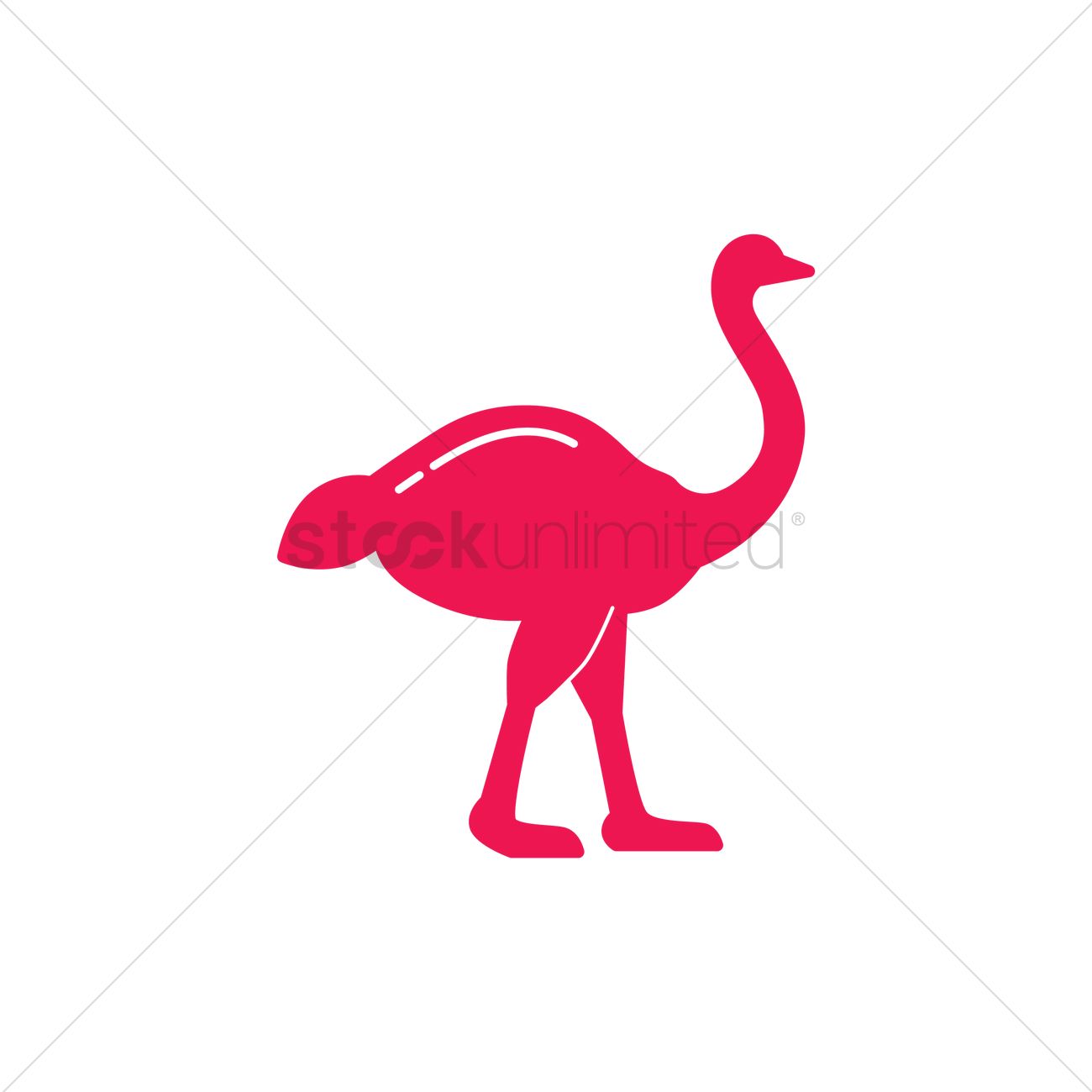 1300x1300 Ostrich Vector Image