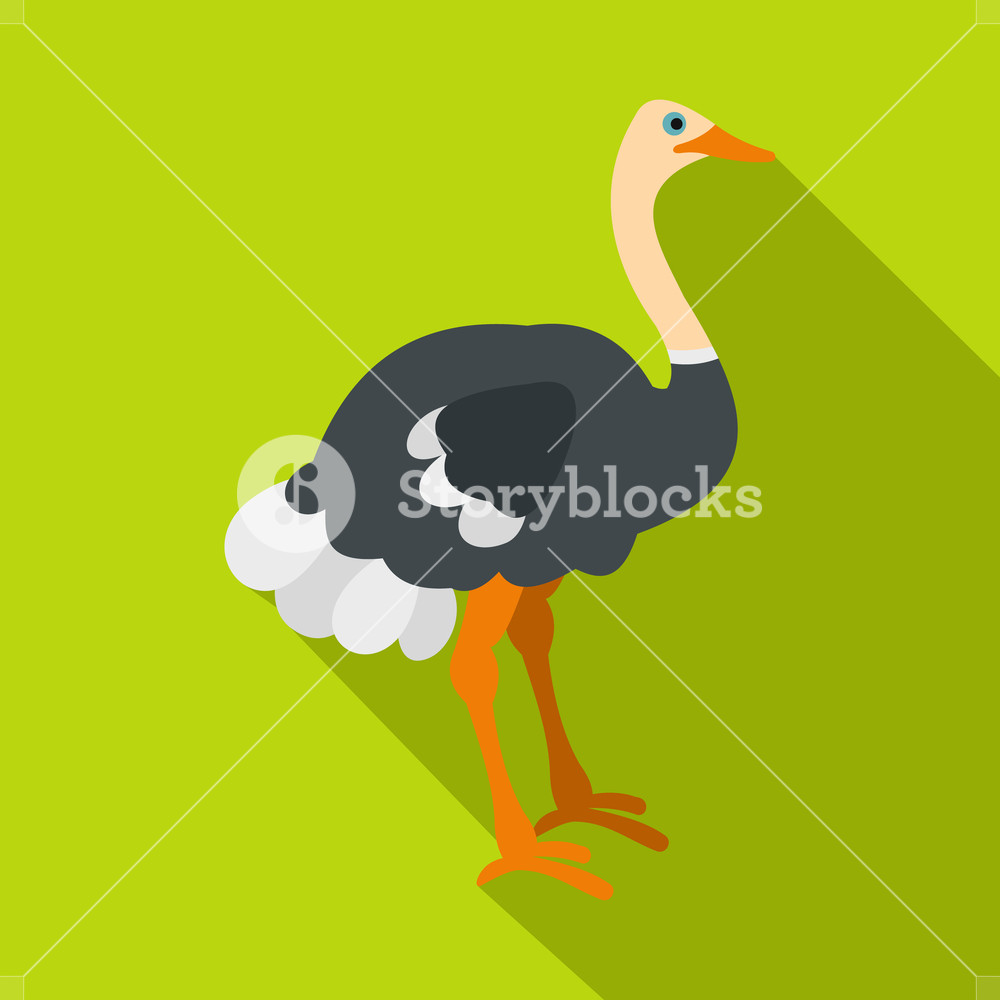 1000x1000 Ostrich Icon Flat Illustration Of Ostrich Vector Icon For Web