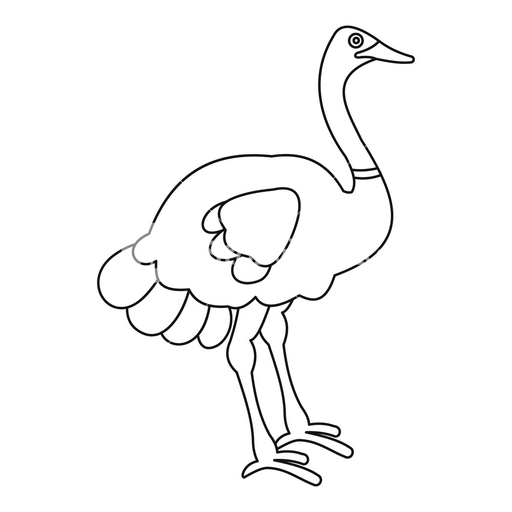 1000x1000 Ostrich Icon Outline Illustration Of Ostrich Vector Icon For Web