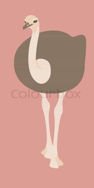 400x800 Ostrich Vector Illustration Flat Style Stock Vector Colourbox