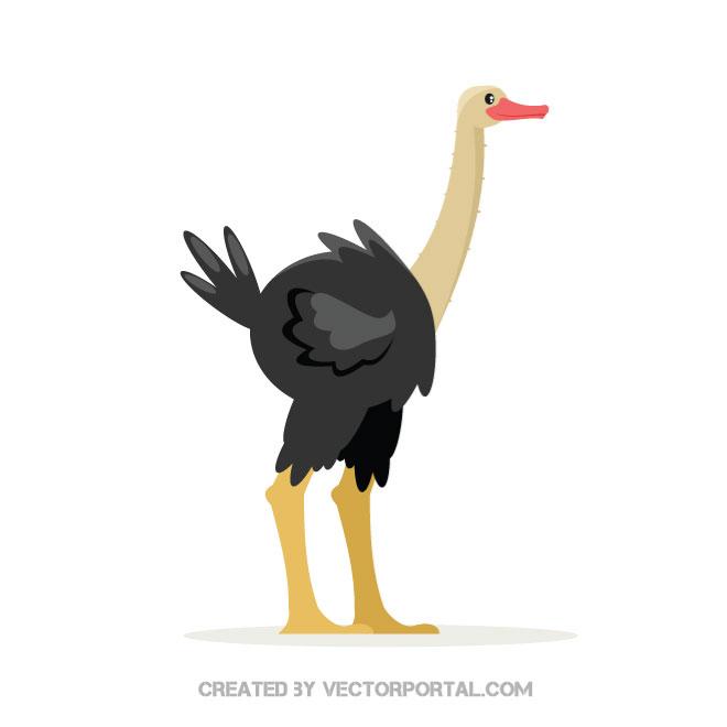 660x660 Black Ostrich Vector Graphics