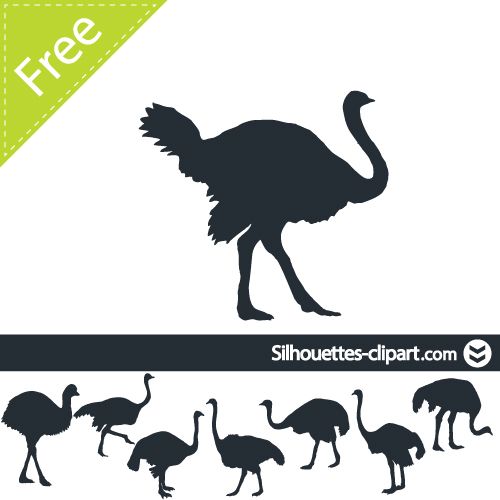 500x500 Ostrich Vector Silhouette Print These Silhouette, Logos Design