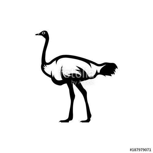 500x500 Ostrich Vector Silhouette Stock Image And Royalty Free Vector