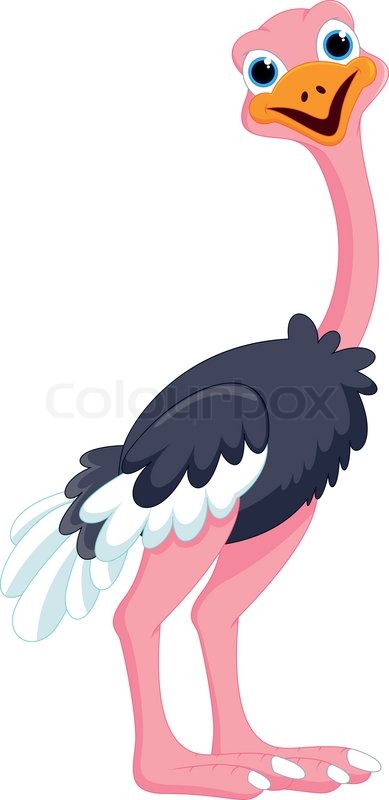 389x800 Cute Cartoon Ostrich Stock Vector Colourbox