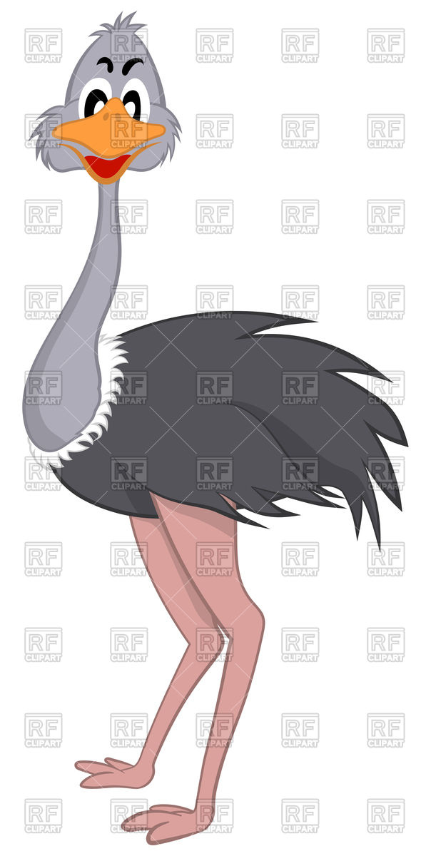 604x1200 Funny Cartoon Ostrich Vector Image Of Plants And Animals Angelp