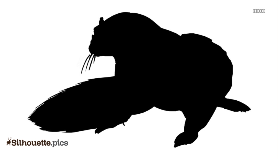 934x534 Otter Cartoon Silhouette Vector, Clipart Images, Pictures