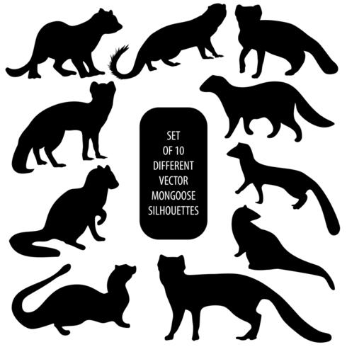 490x490 Set Of Different Vector Mongoose Silhouettes