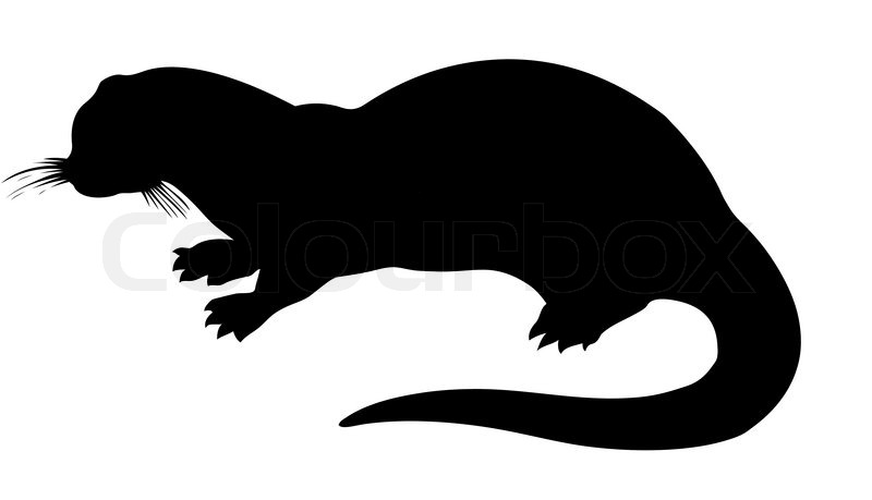 800x459 Vector Silhouette Otter On White Stock Vector Colourbox