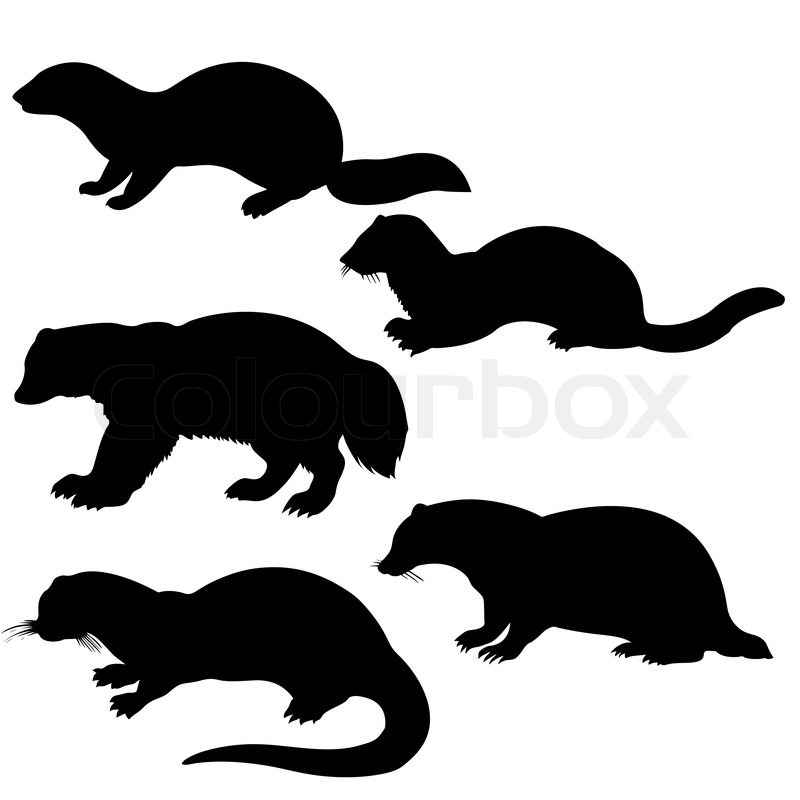 800x800 Vector Silhouettes Animal On White Stock Vector Colourbox