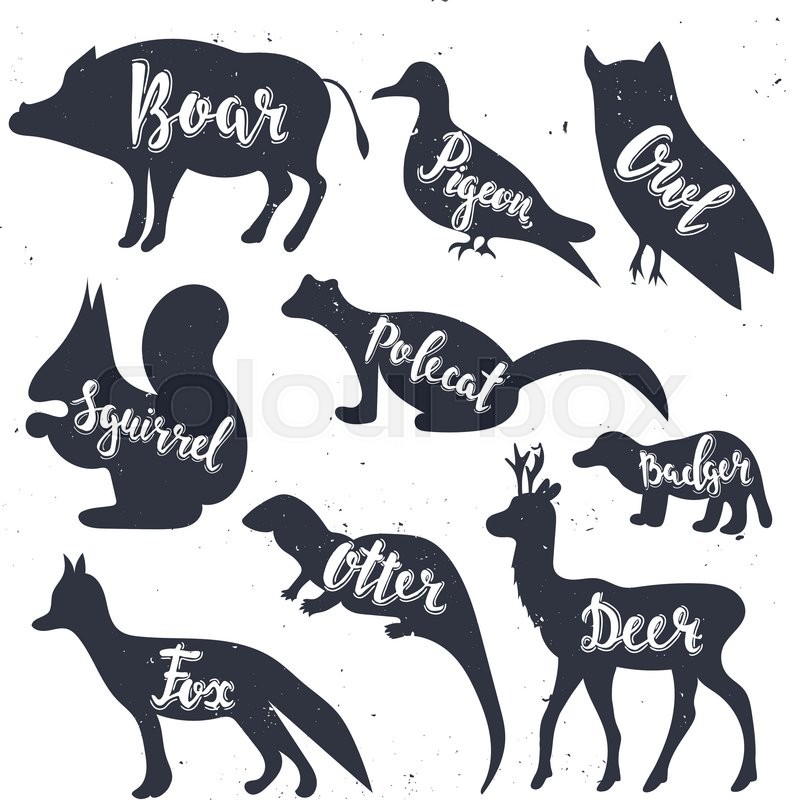 796x800 Wild Animals Silhouettes With Stock Vector Colourbox