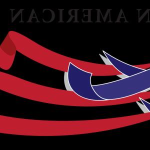 300x300 United States T Shirt Bald Eagle American Eagle Ou Avnwl Soidergi