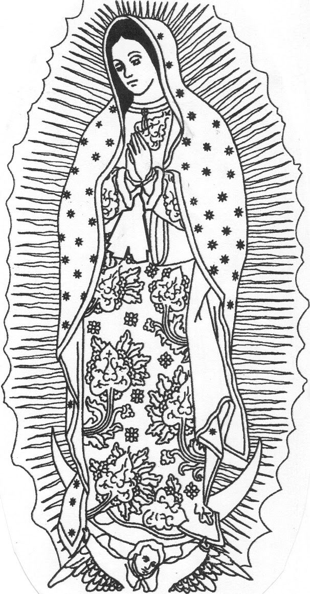 Our Lady Of Guadalupe Vector at Collection of Our