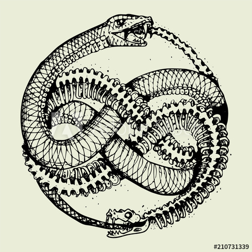 Ouroboros Vector at Vectorified.com | Collection of Ouroboros Vector ...