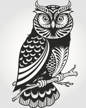 Free Owl Vector Graphics Free Vector Download 293x368 Free Owl Vector Graphics Free Vector Download