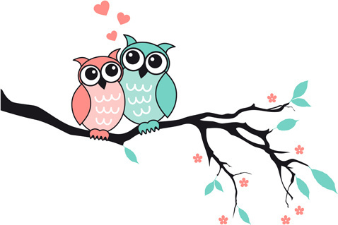 Funny Owl Cartoon Free Vector Download 478x319 Funny Owl Cartoon Free Vector Download