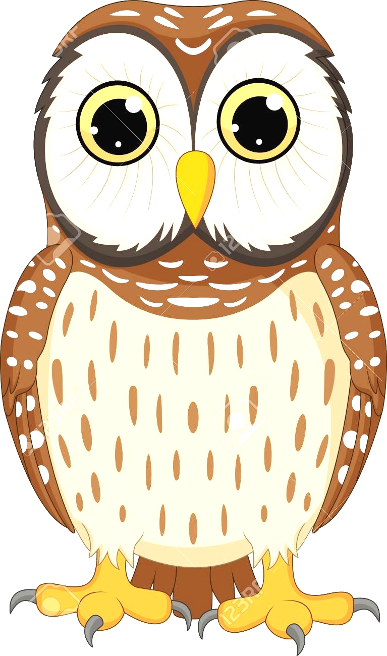 Owl Cartoon Pic 767x1300 Owl Cartoon Pic