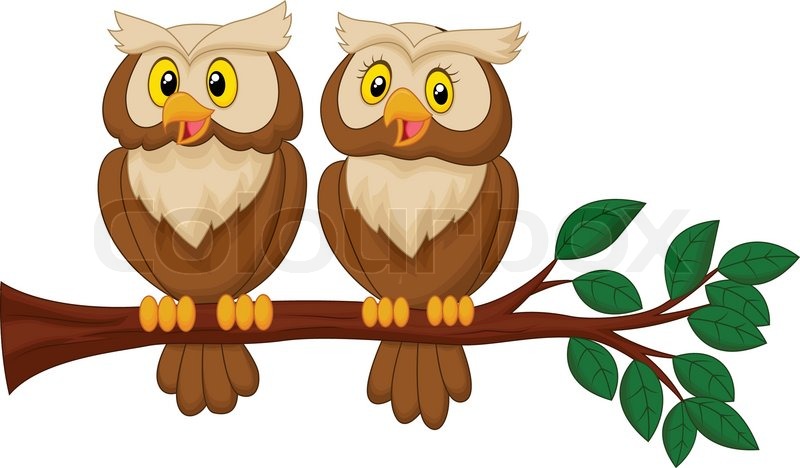 Vector Illustration Of Cute Owl Couple Stock Vector Colourbox 800x468 Vector Illustration Of Cute Owl Couple Stock Vector Colourbox
