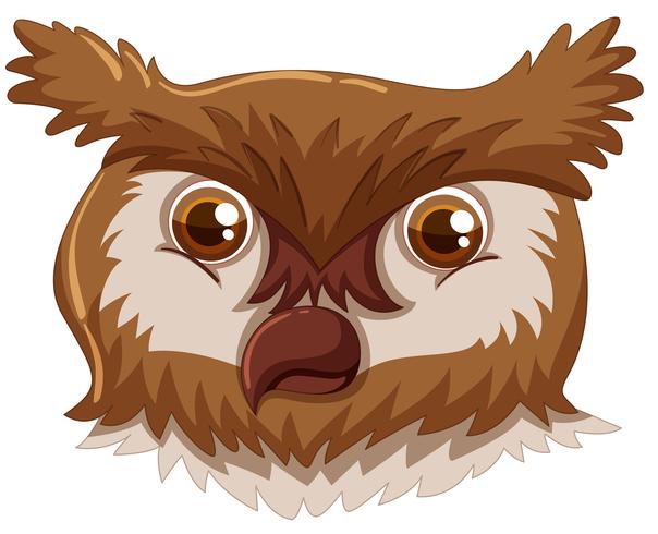 Owl Face Vector