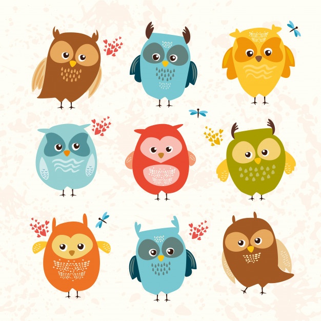 626x626 Owl Face Vectors, Photos And Free Download