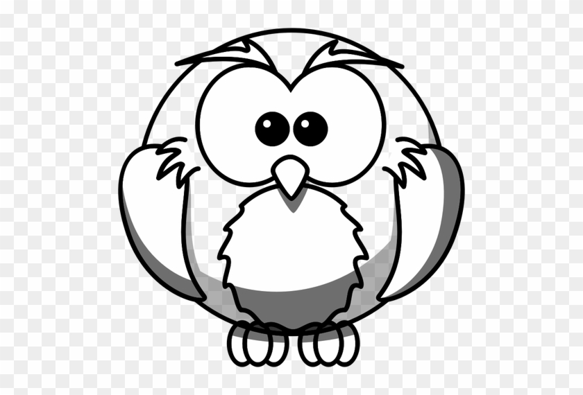 840x570 Owl Line Art Vector Illustration