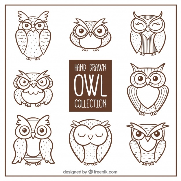 626x626 Owl Vectors, Photos And Free Download