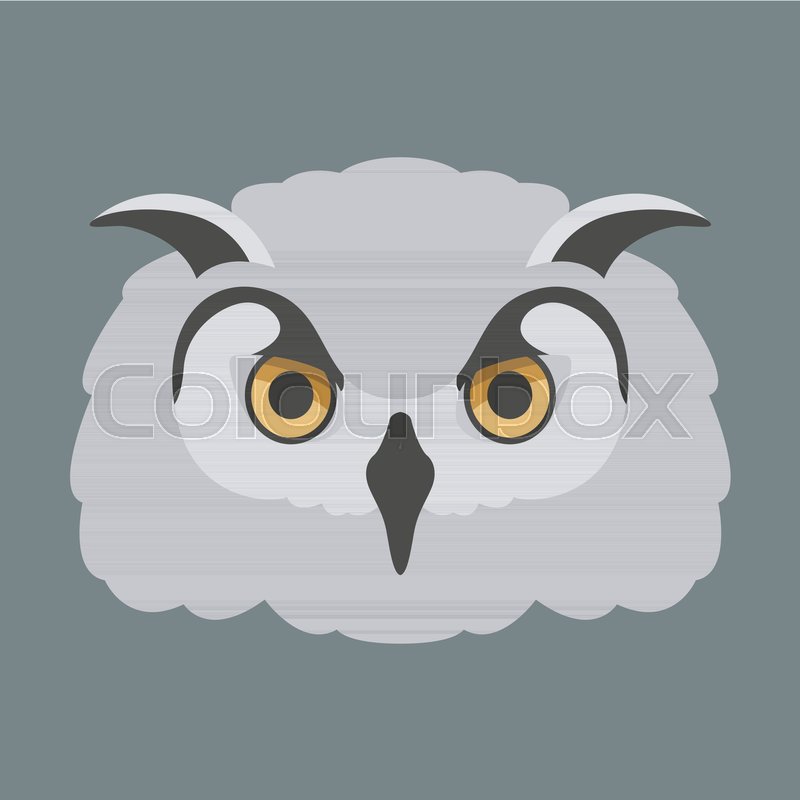 800x800 Owl Bird Face Vector Illustration Flat Stock Vector Colourbox
