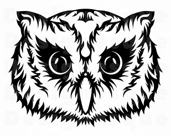 340x270 Owl Face Etsy