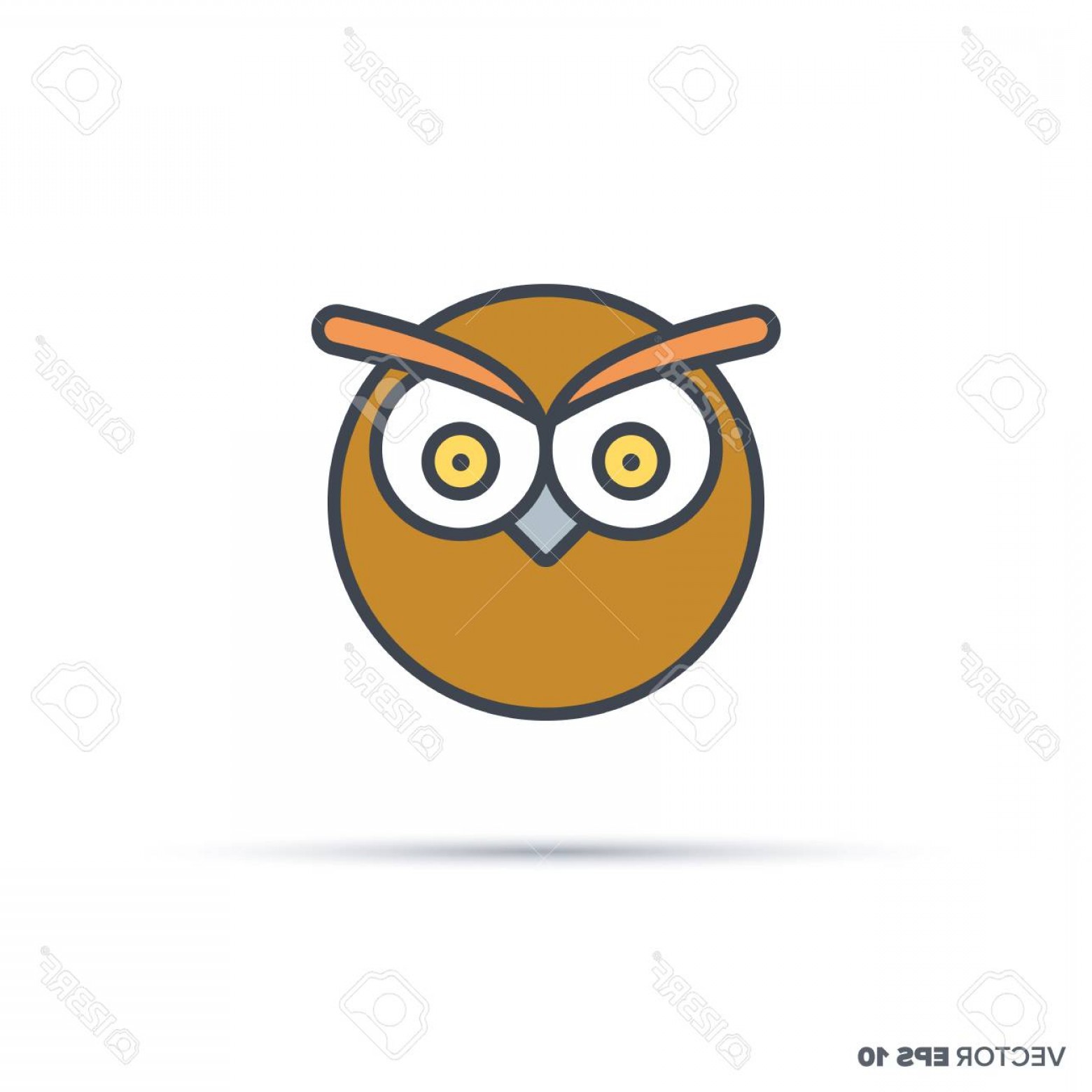 1560x1560 Photostock Vector Cute Owl Face Outline Vector Icon With Color