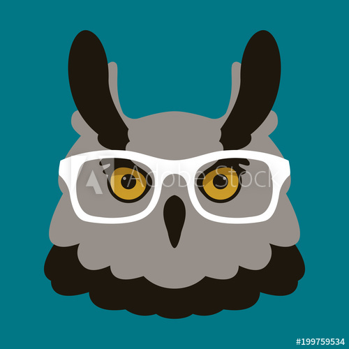 500x500 Owl In Glasses Face Vector Illustration Flat
